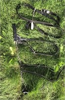 2 Leather Cattle Show Halters
