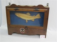 Lighted Wall Case with Mounted Palomino Trout