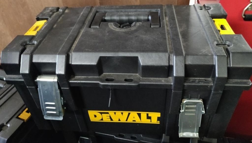 Worx Electric Chainsaw in Dewalt Toolbox