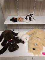 Tonka Pound puppy collection. Basement backroom