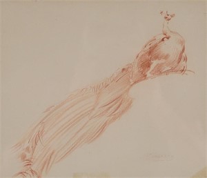 Konstantin Makovsky Drawing Peacock