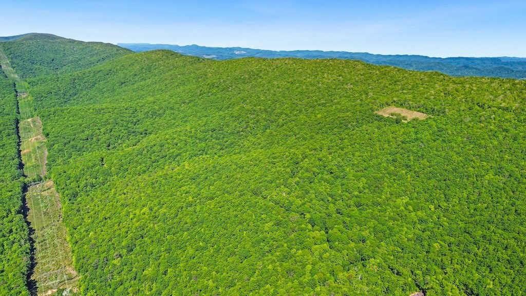 Large Wooded Tract of Land for Sale in Tazewell VA