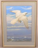Earl Poole Watercolor Gyrfalcon Wildlife Painting.