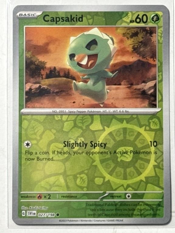 Pokémon, MTG, & More Wonderful TCG Cards!