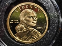 2005S Sacagawea Dollar