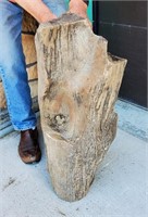 Large Petrified Wood Tree Stump