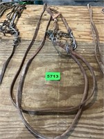 Headstall, Bit & Reins