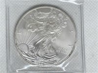2009 Walking Liberty .999 Fine Silver Dollar