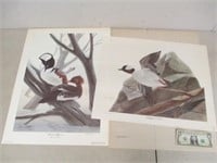 2 Vintage John Ruthvan S/N Bird Plate Prints -