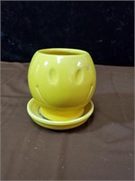 Smiley gave McCoy planter approx 4 inches tall