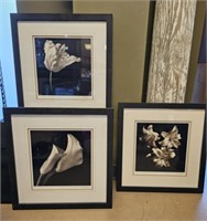 Framed Double Matted Sepia Photo Trio