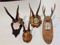 Small Antler mounts