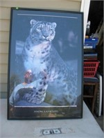 Madison P/U Only Vintage Framed Snow Leopard