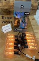 "Edison Bulb" Outdoor Light String