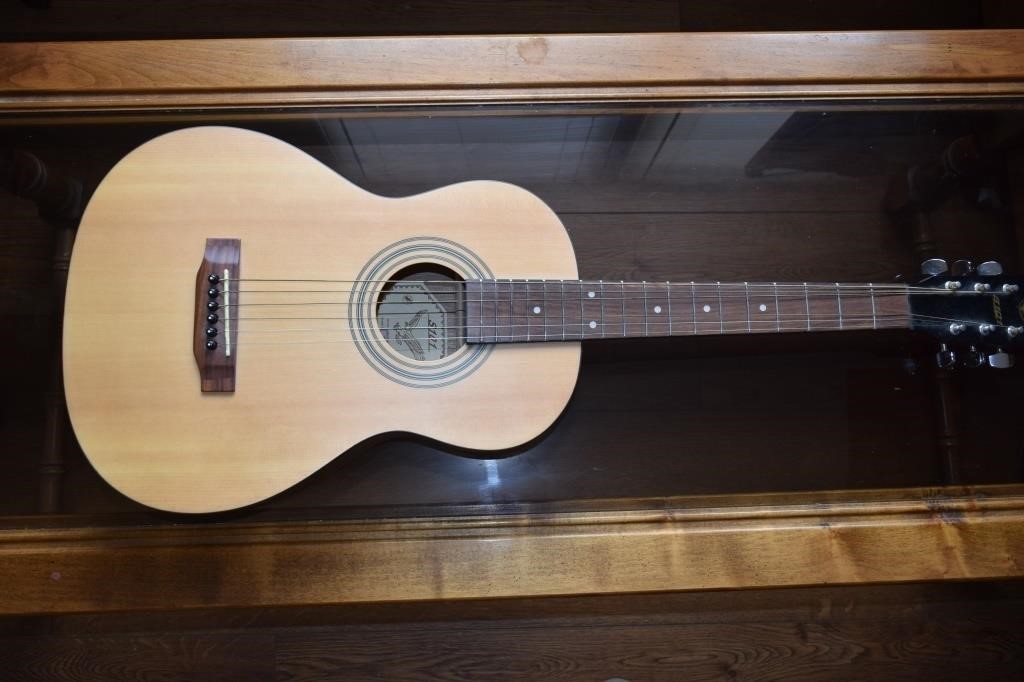 S101 Guitar Model D2360