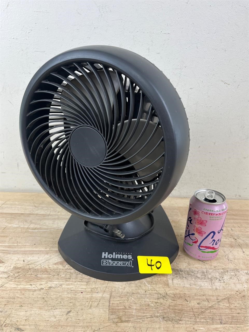 Holmes Blizzard Desktop Fan