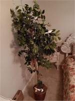 Ficus tree in basket eighty one inches tall