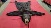 AUTHENTIC BEAR SKIN RUG WITH HEAD AND CLAWS