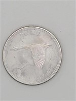 SILVER COIN