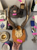 VINTAGE STAG DEER ANTLER WALL MOUNT