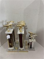 Several Carp City Trophies