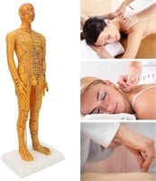 NEW! 53cm Human Body Acupuncture Model Man