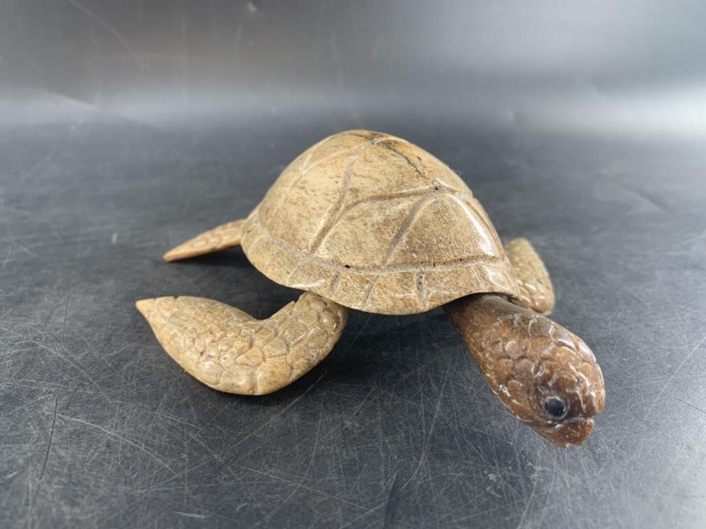 James Aningayou fossilized whalebone sea turtle wi