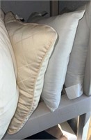 Throw & Bed Pillow Assortment