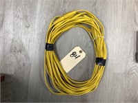 1-50' LIGHT DUTY EXTENSION CORD