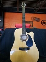 Johnson guitar