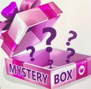 22k Gold Geronime Mystery Box