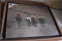 Horse Picture 20" x 16" *STS