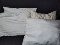 (4) Pillows