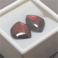 Genuine Canadian Ammolite Loose Gemstones