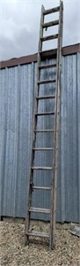 14' Ladder