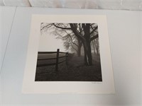 Trees / Fenceline Picture Photo