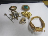 5 Costume Pins,1 Stick Pin w/Stone & 1 Mesh Brace-