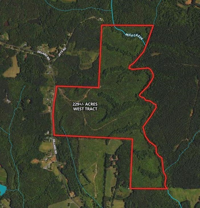 Dillard Rd (West Tract) - 229 +/- Acres