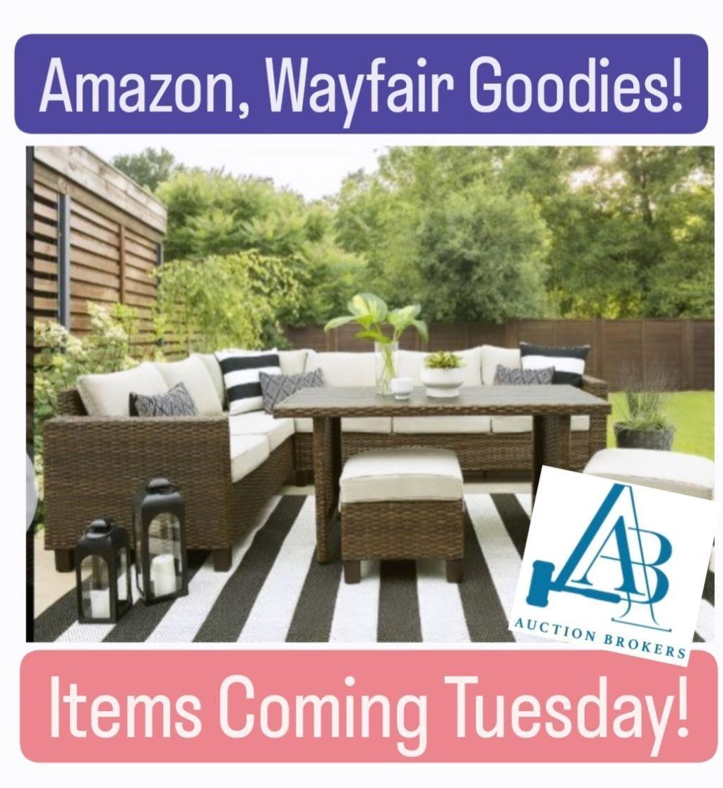 ITEMS COMING TUESDAY Amazon, Wayfair Goodies & Bulk Lots 7-1