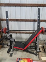 golds gym weight bench