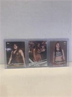 2018 Topps WWE Then Now Forever: Bronze
#155