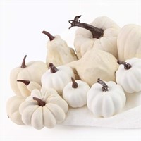 12PCS Artificial White Pumpkins