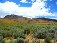 50 Acres of Enchanting Beauty in Nevada!
