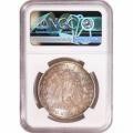 Morgan Silver Dollar 1902-O MS64 NGC Toning