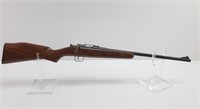 Rogue Chipmunk .22 S,L,LR rifle