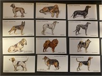 DOGS: Set of 50 Cards