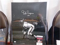 GALE SAYERS SIGNED AUTO 16X20 PHOTO. JSA COA