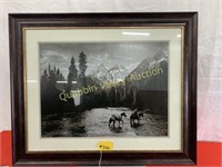 FRAMED HORSE PICTURE