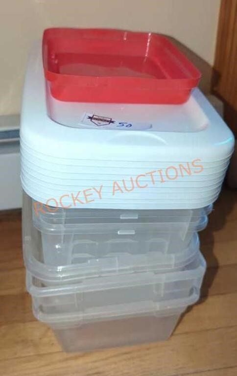 Small shoe box sized plastic storage containers