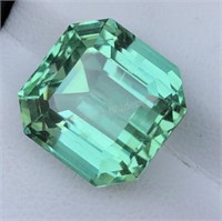 13.93 ct Natural Hiddenite Gemstone $10,000